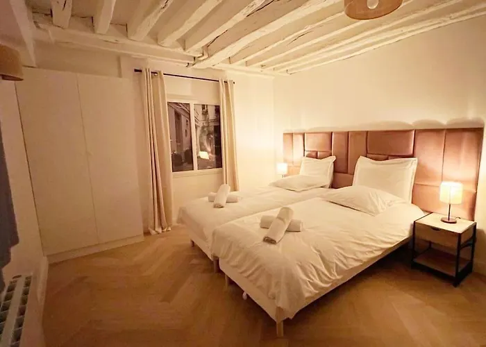 Magnificient Parisian Flat - Parisian Heart