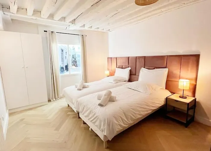 Magnificient Parisian Flat - Parisian Heart